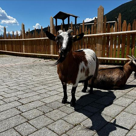 Pichlerhof Lägenhet Planca di Sopra Exteriör bild